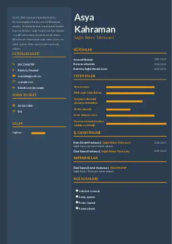 Tekniker ve Teknisyen Cv Örnekleri cv indir